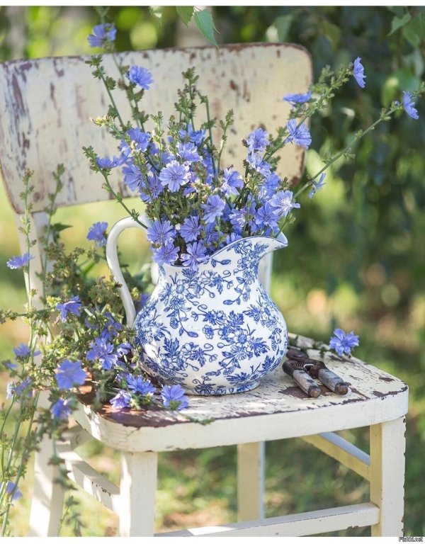 прованс васильки