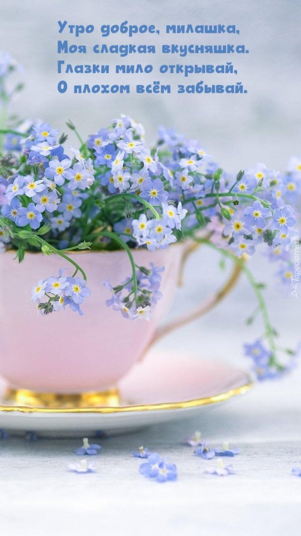 нежные цветочки