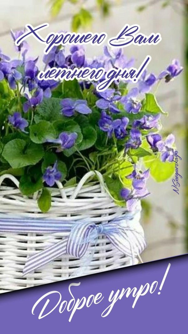 пожелания с добрым летним утром