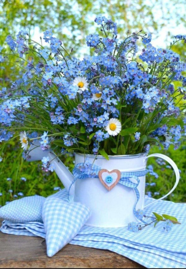 летние цветы