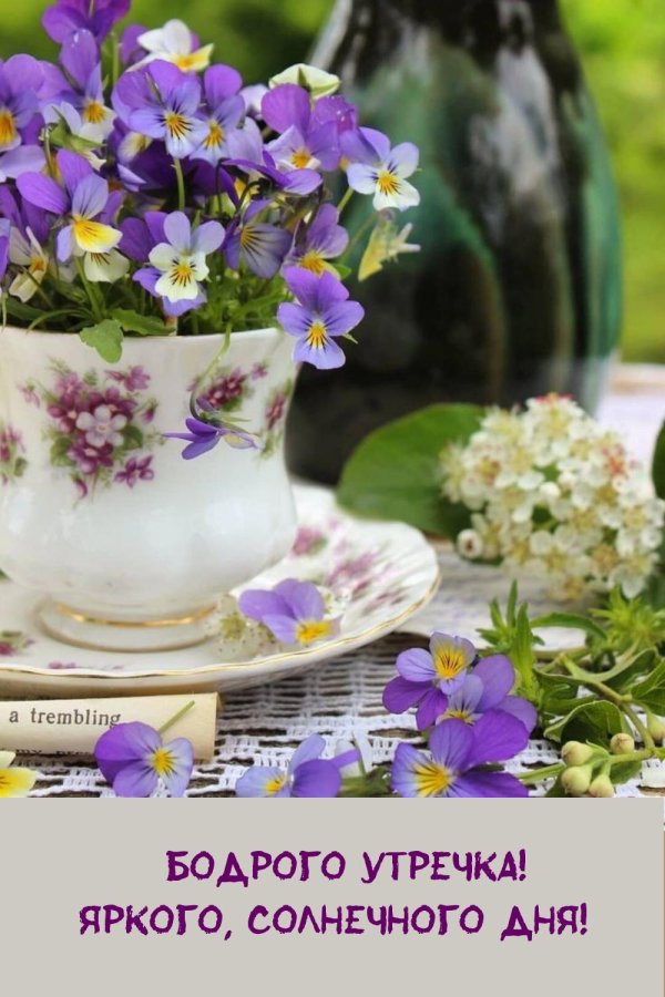 добра утра