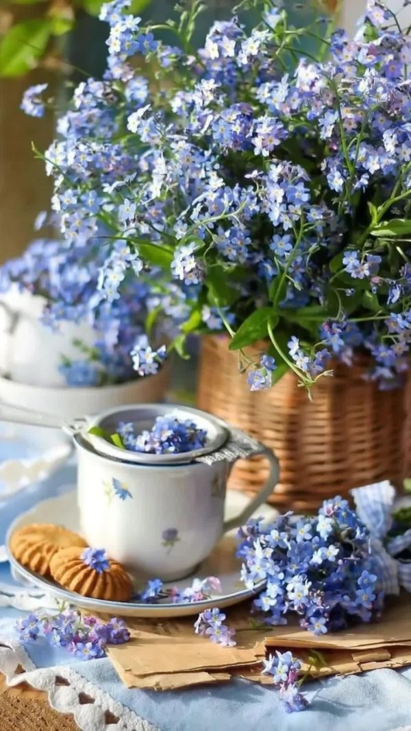 незабудка ультрамарин