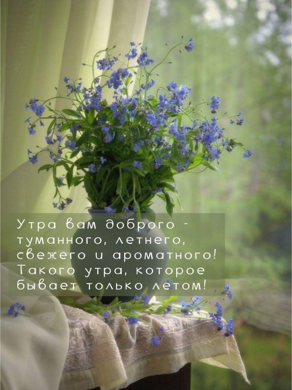 незабудки в вазе