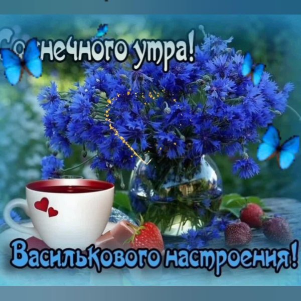 васильковое настроение
