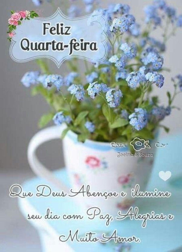 незабудка в горшке