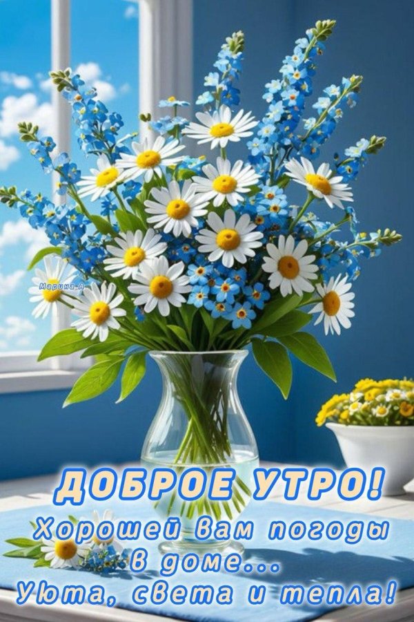 добрый день ромашки