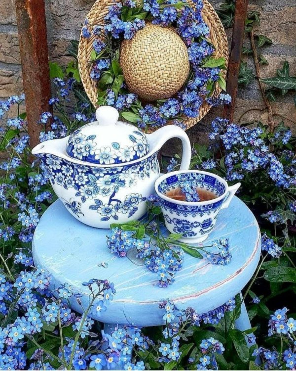 незабудки и чай