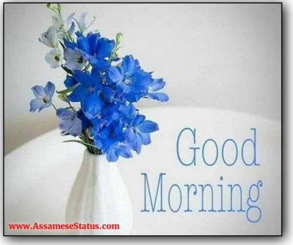 good morning цветы