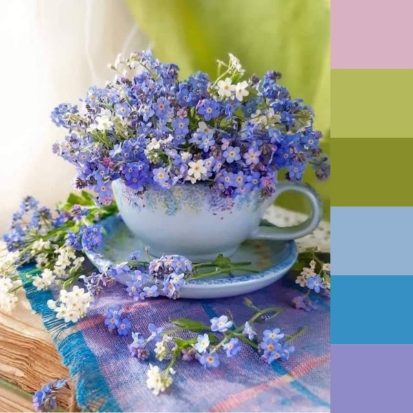 цветок незабудки