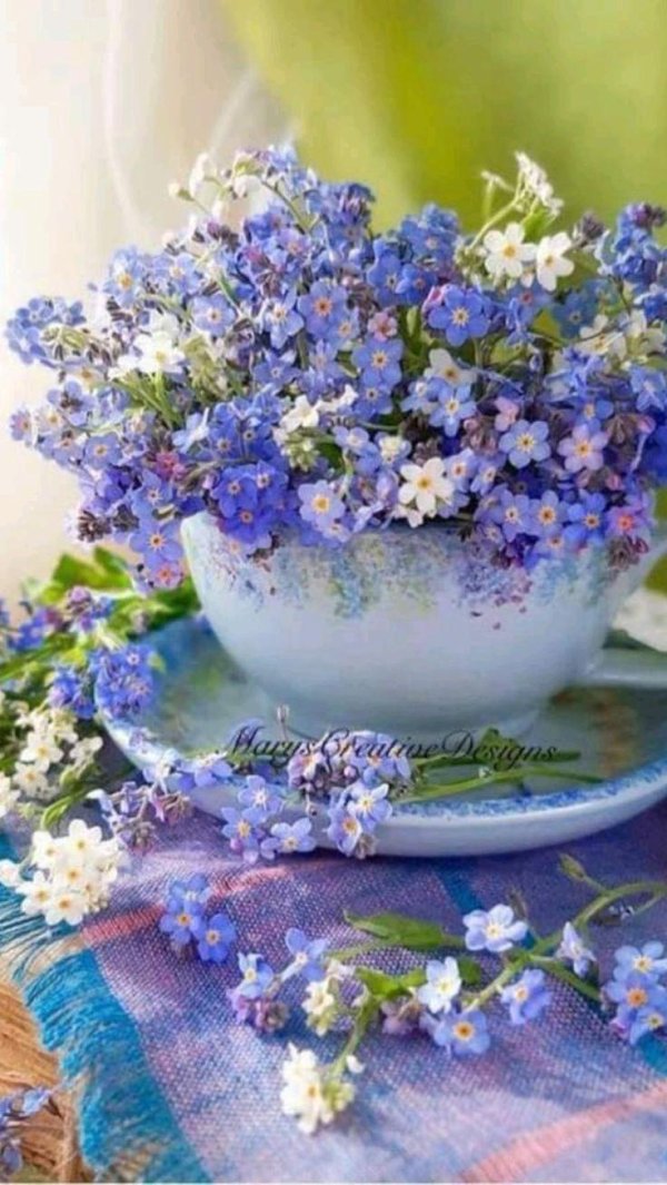 красивый букет незабудок