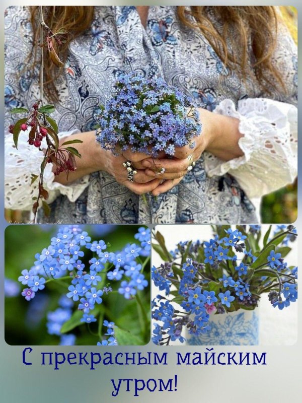 прекрасного майского утра