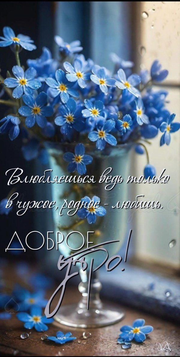 незабудка ультрамарин