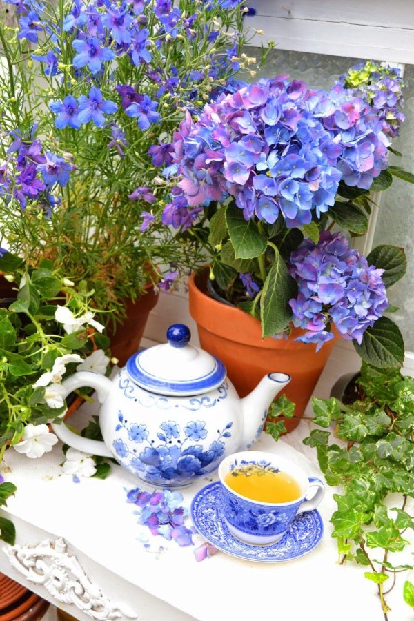 весеннее чаепитие