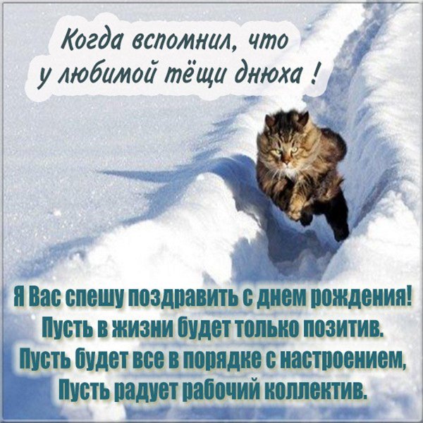 шуточные открытки