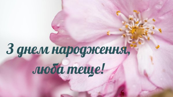 з днем народження