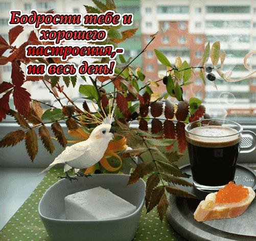 с добрым утром позитивные пожелания