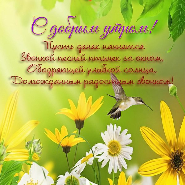 с пожеланием доброго утра