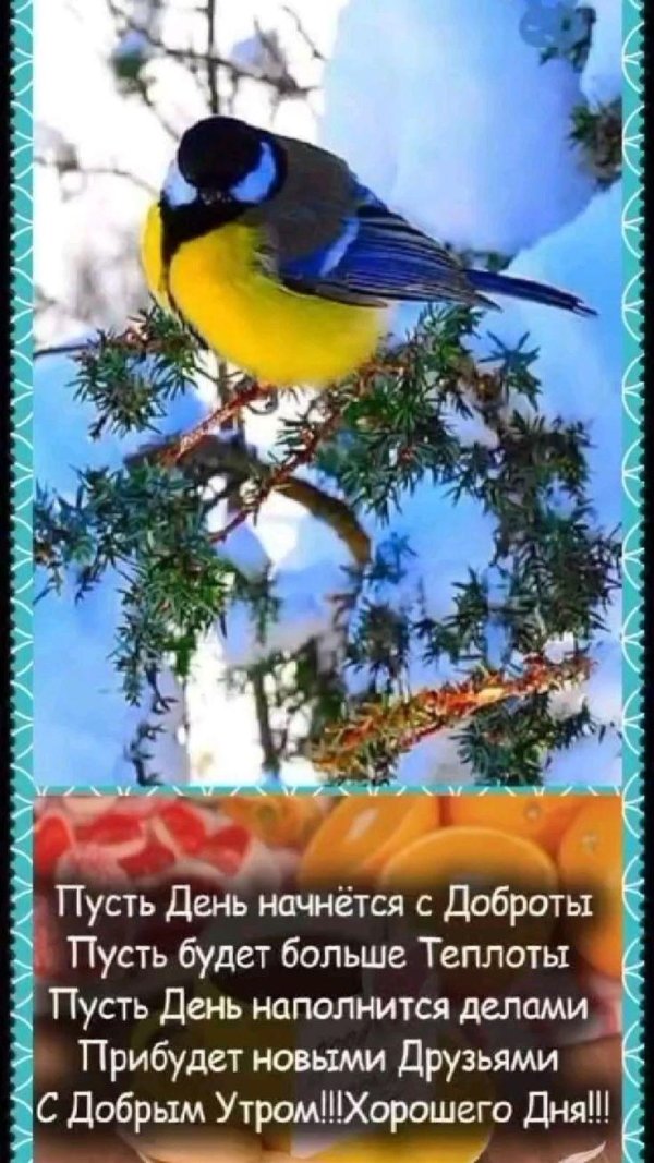 с добрым зимнем утром
