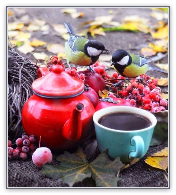 синичка на рябине