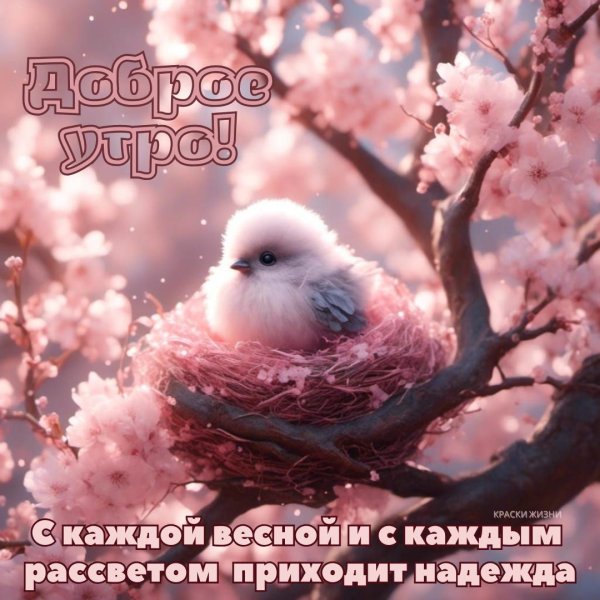 открытка с добрым утром весенняя прикольные