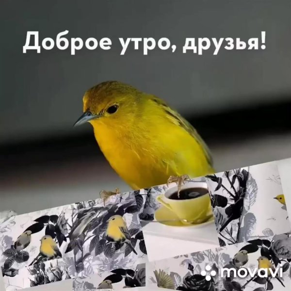 доброе утро весна