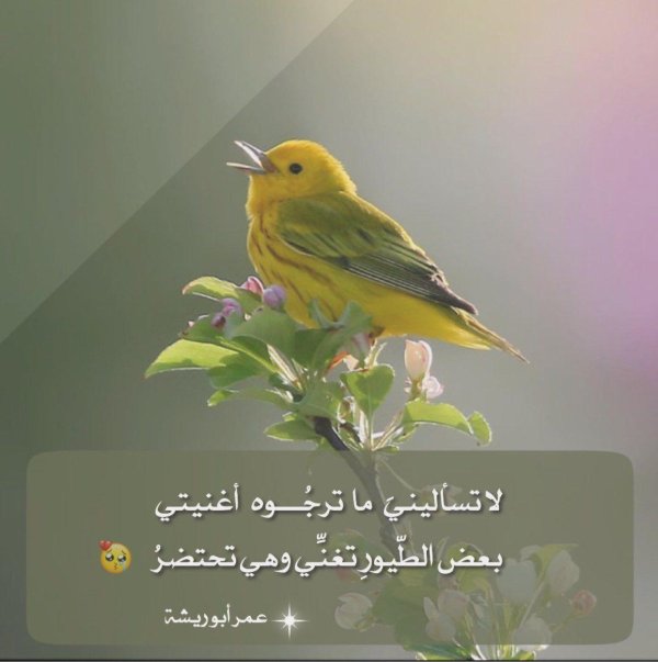 желтая птичка