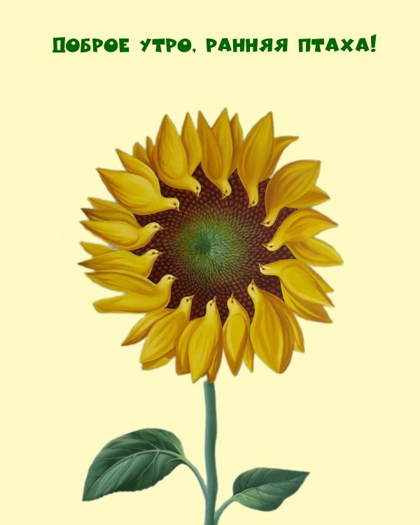 добра утра