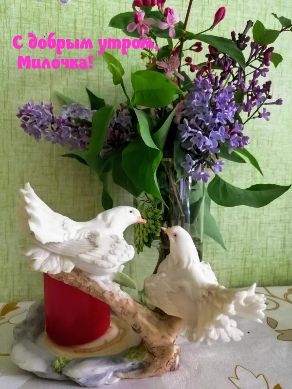 фарфоровые голуби