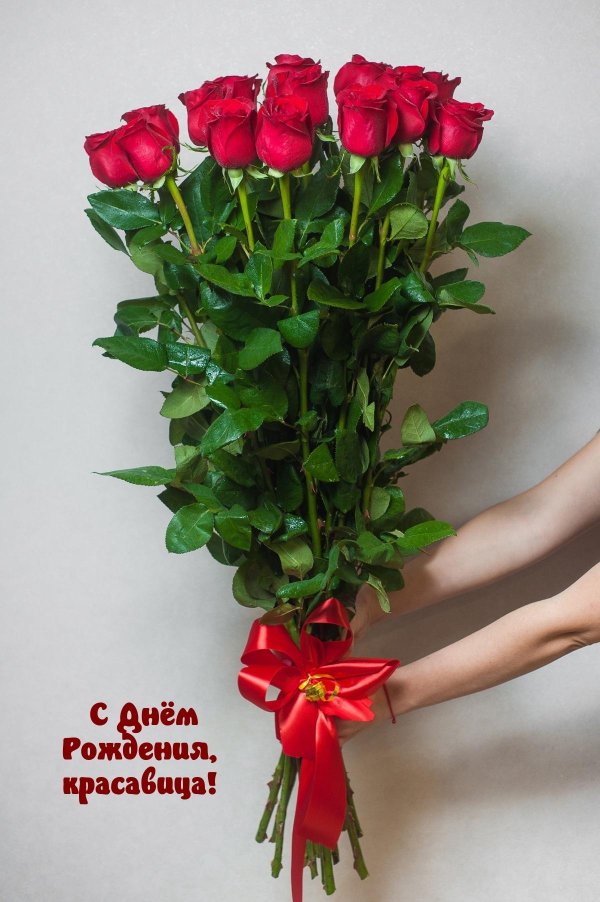 метровая роза