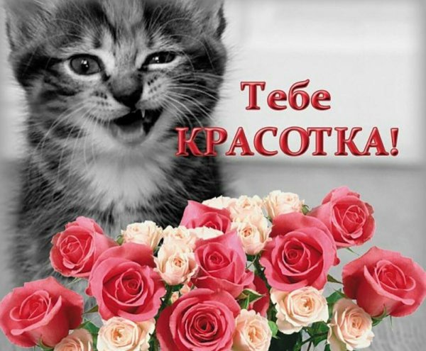 тебе красавица