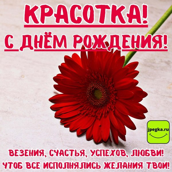 с днем рождения герберы