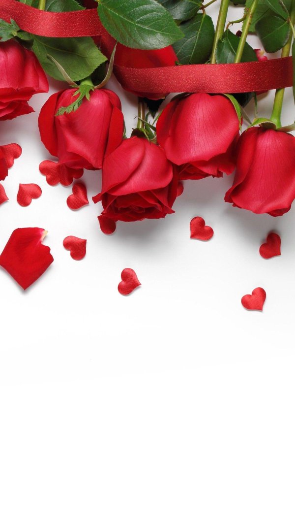 лепестки роз