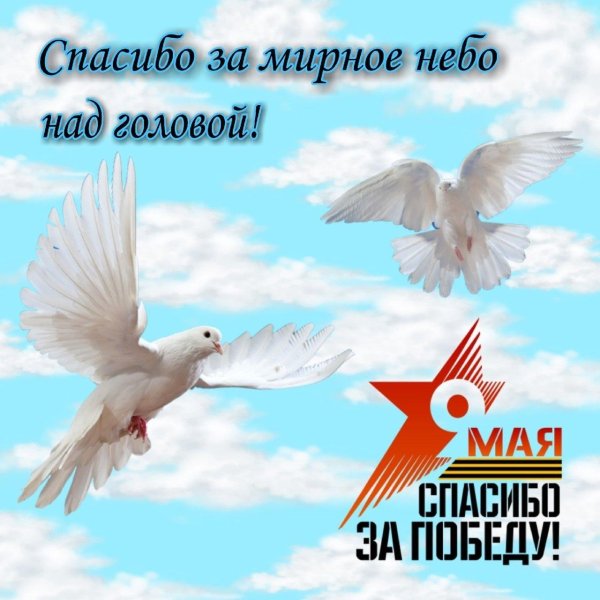 за мирное небо над головой