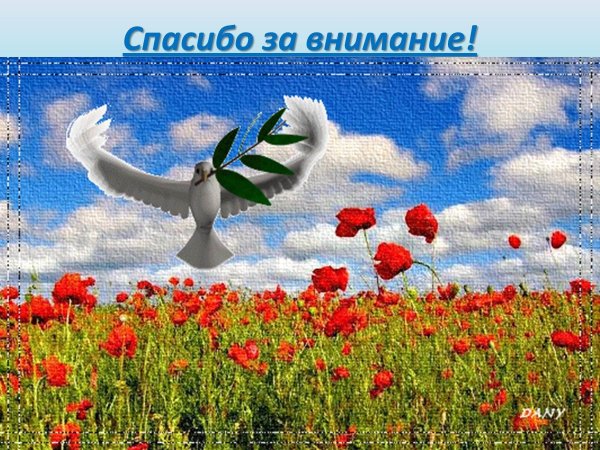 цветы и природа