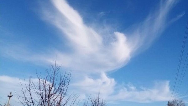 ангел на небе