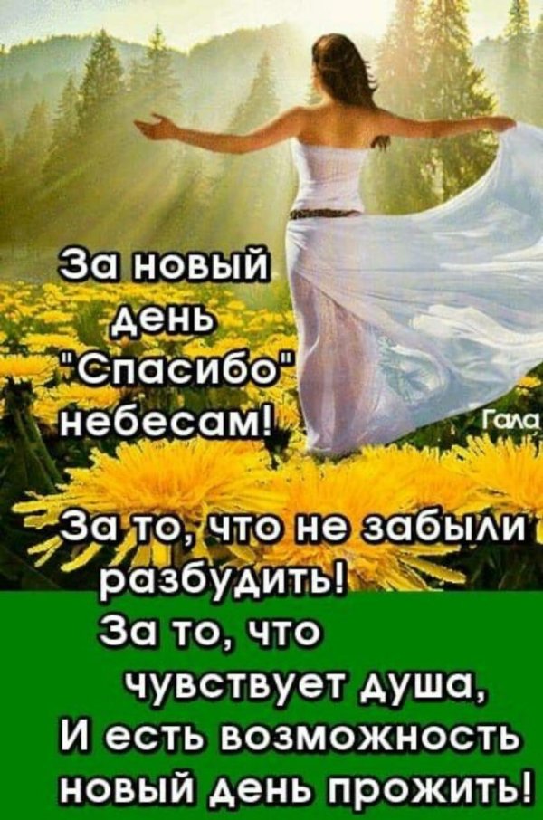 спасибо небесам