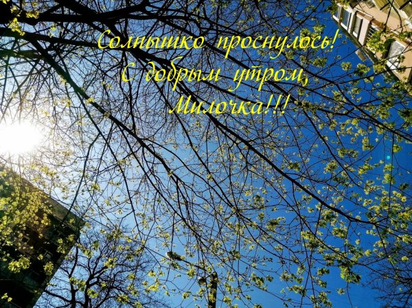 Мирного неба над головой доброе утро