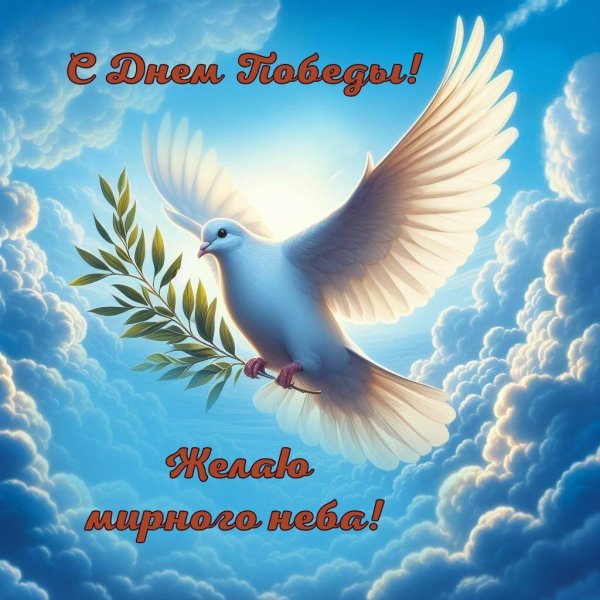 белая голубь