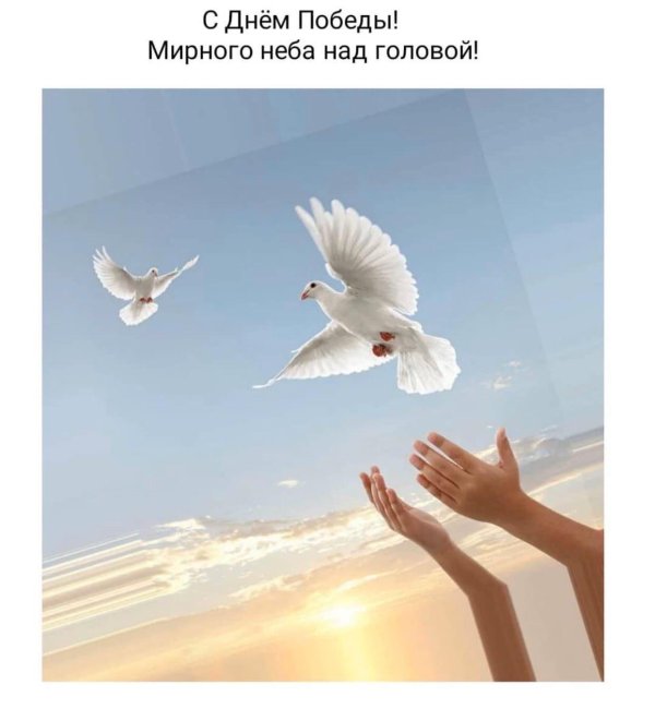 мирного неба над головой