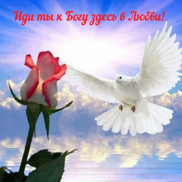 пусть бог благословит