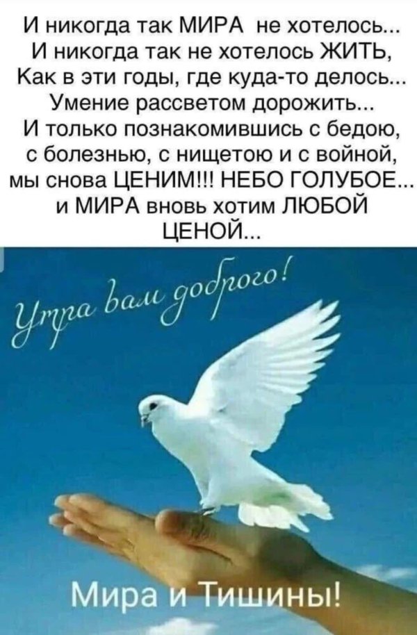 желаю мира
