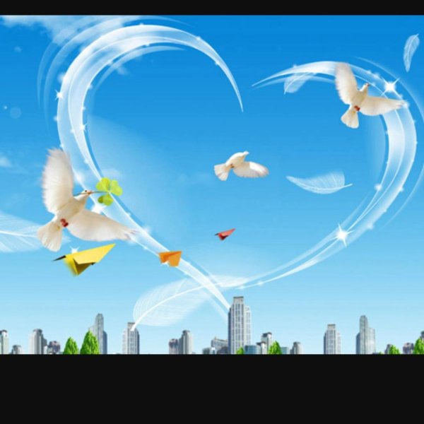 символ мира голубь