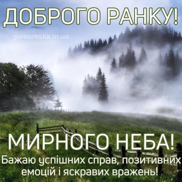 туманные леса