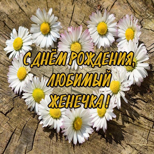 открытка ромашки для наташки