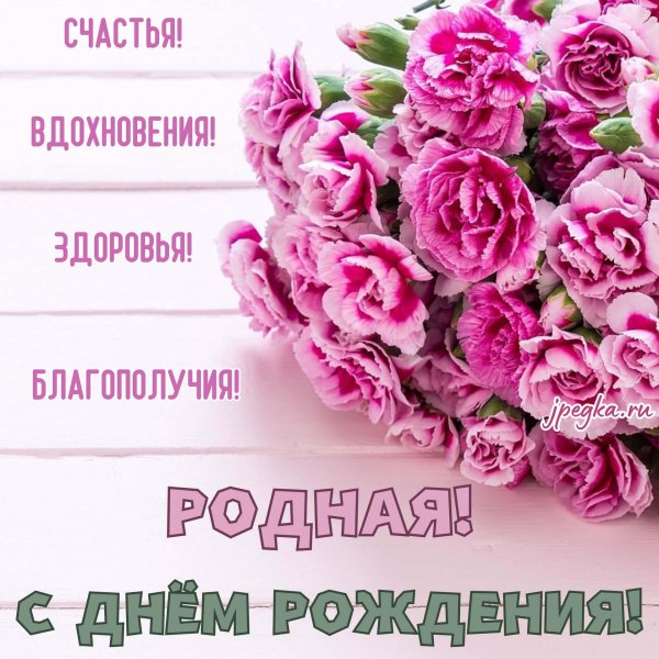 диантус розовый