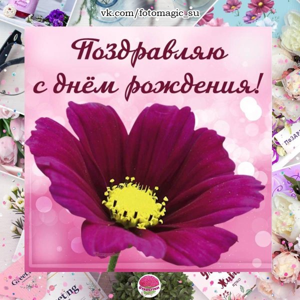 Поля с днем рождения