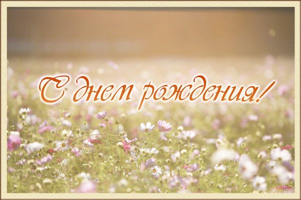 с день рождение