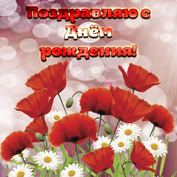 с днём рождения женщине маки