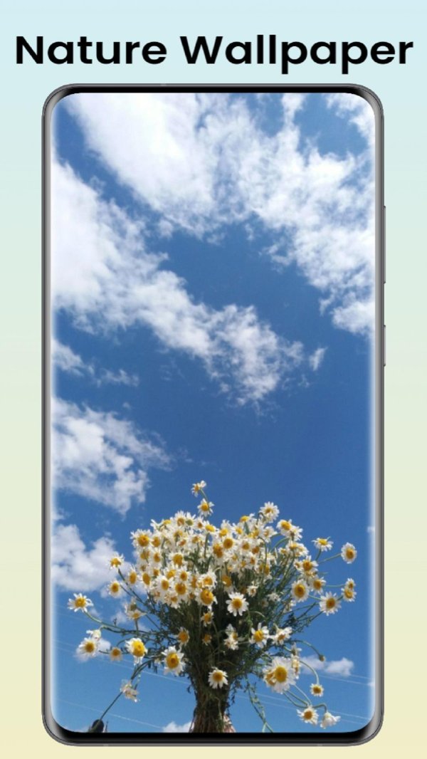 ромашек букет