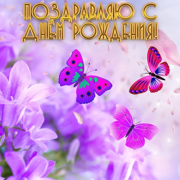 фиолетовые цветки